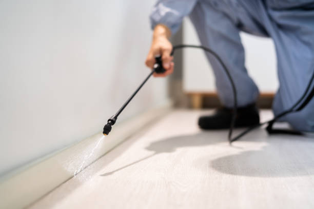 Rodent Entry Point Assessment in New Windsor