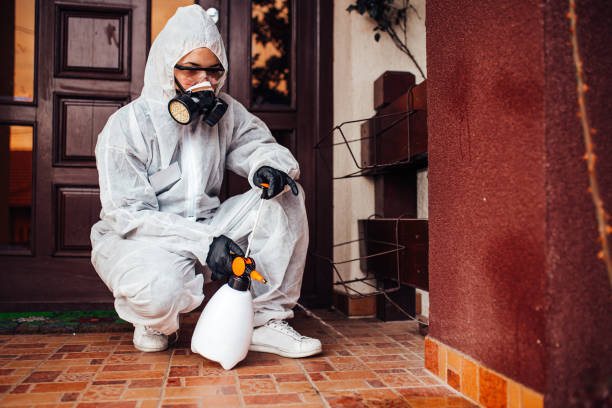 Attic and Crawl Space Rodent Treatment in New Windsor
