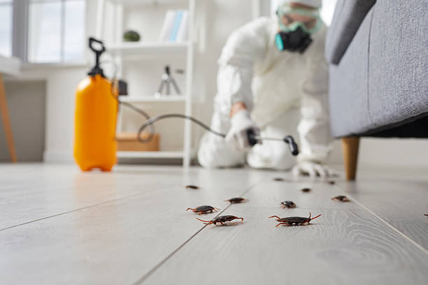 Commercial Rodent Management in New Windsor